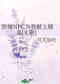 惊悚NPC为我献上膝盖[无限]